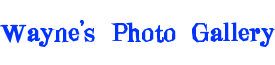 Wayne's Photo Gallery